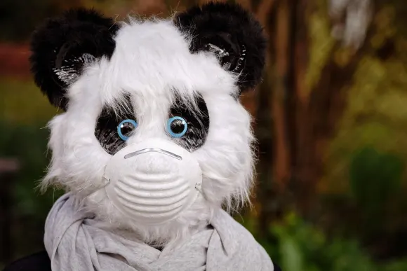 ΣπινΣέικ Καζίνο Υποστηριξη